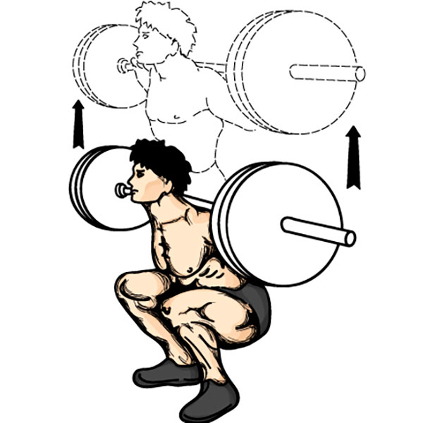 Circuito aeróbico y de fuerza